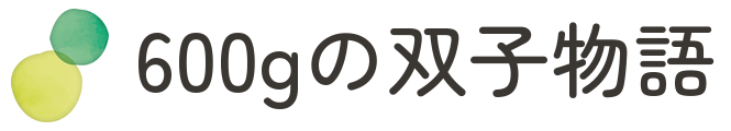 600gの双子物語